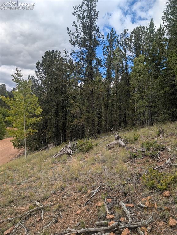 2455 Yorktown Road Cripple Creek CO 80813