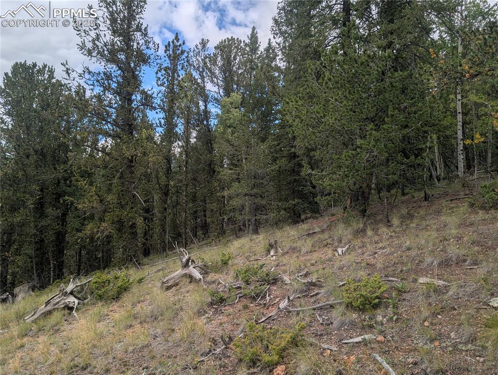 2455 Yorktown Road Cripple Creek CO 80813