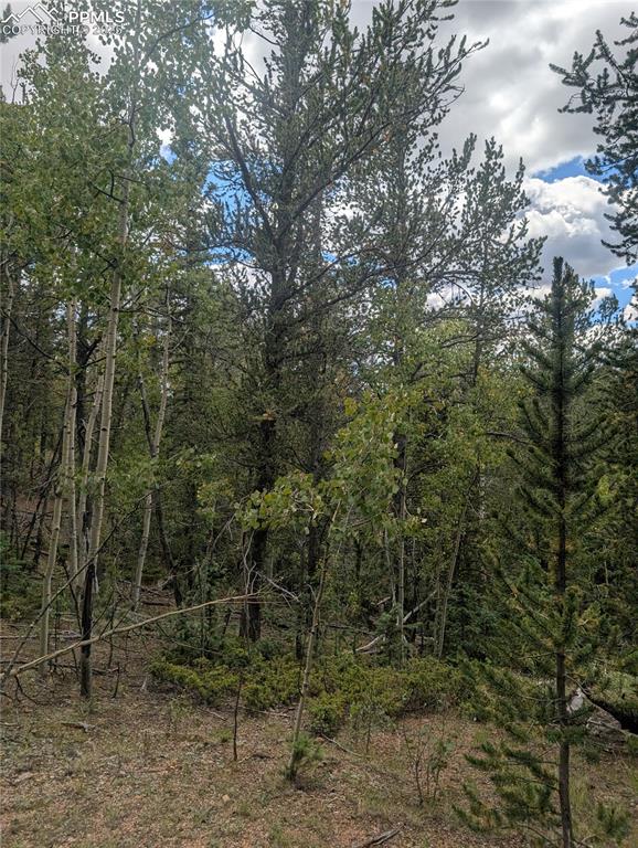 2455 Yorktown Road Cripple Creek CO 80813