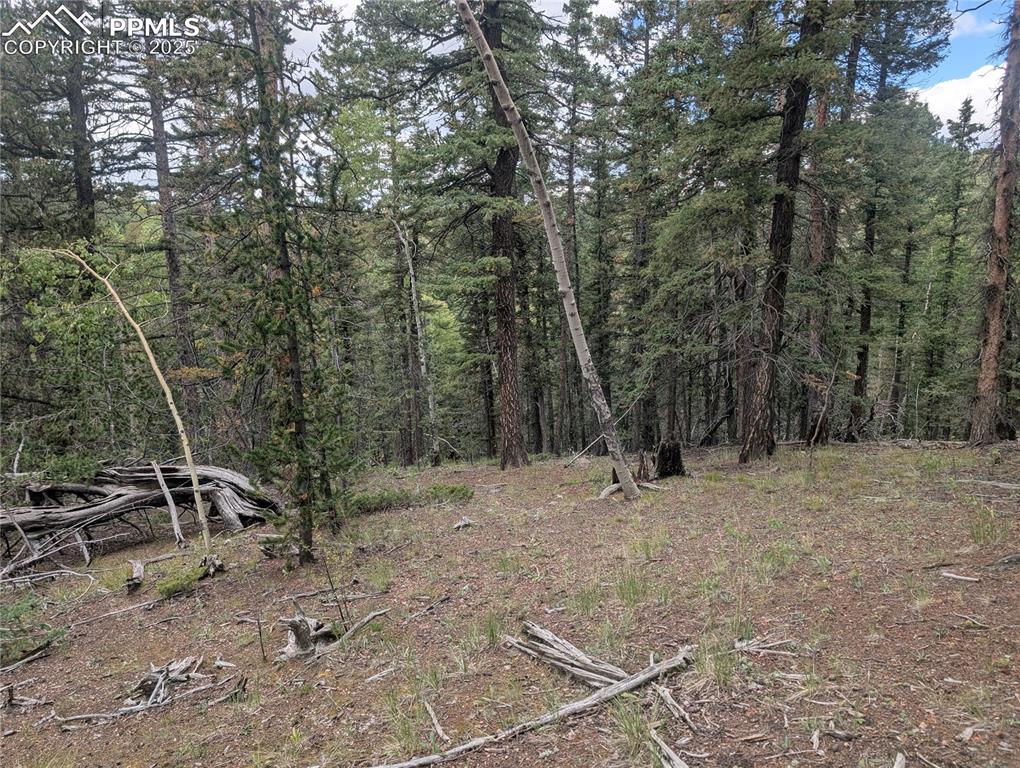 2455 Yorktown Road Cripple Creek CO 80813