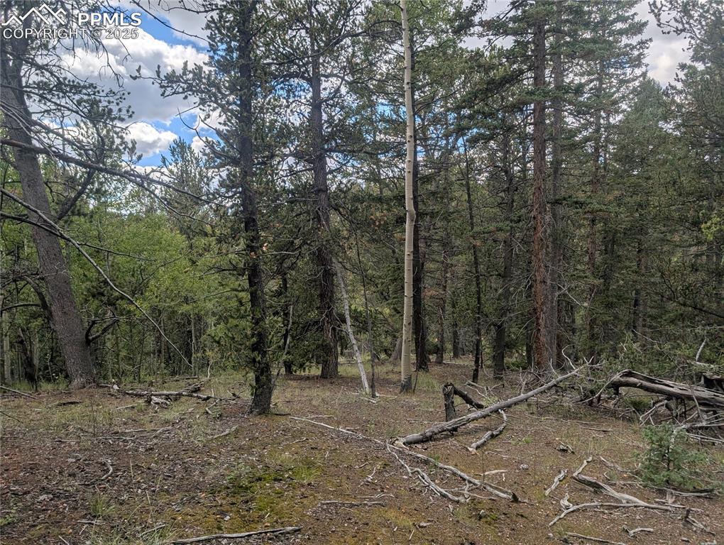 2455 Yorktown Road Cripple Creek CO 80813