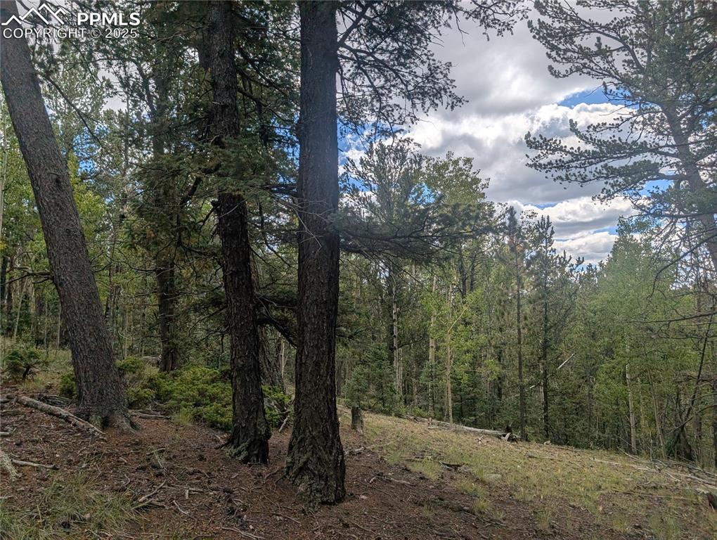 2455 Yorktown Road Cripple Creek CO 80813