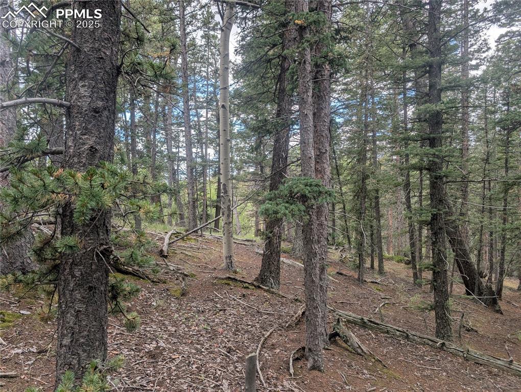 2455 Yorktown Road Cripple Creek CO 80813