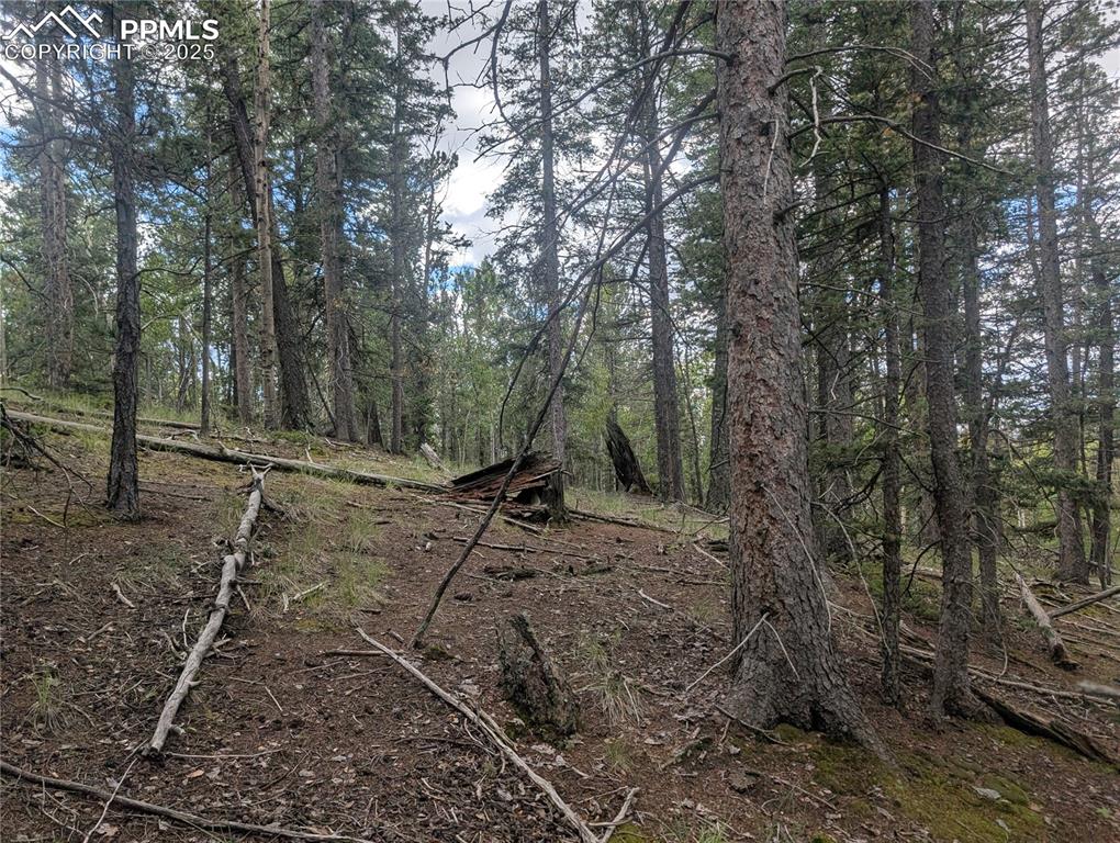 2455 Yorktown Road Cripple Creek CO 80813