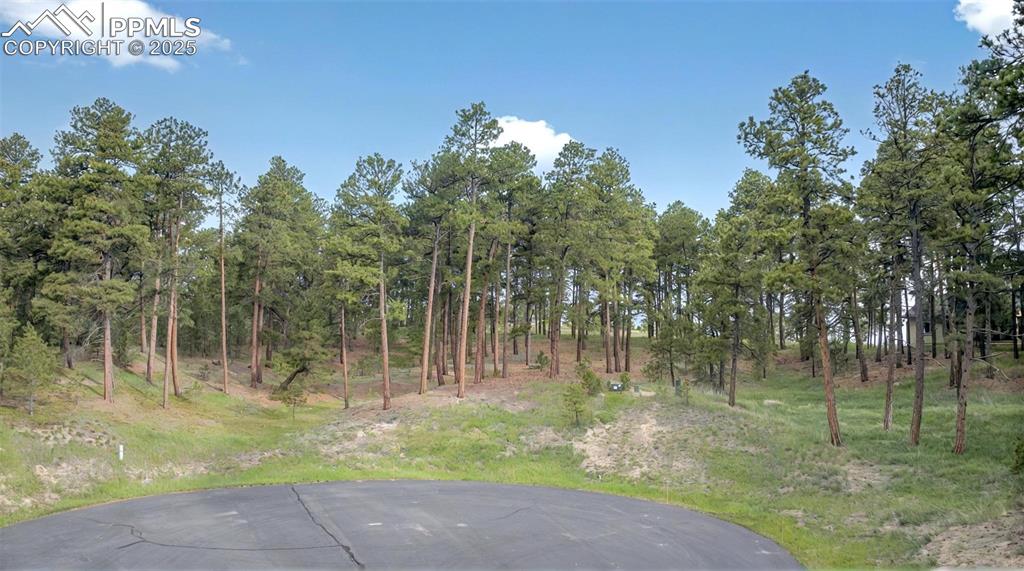 3930 Serenity Place Colorado Springs CO 80908