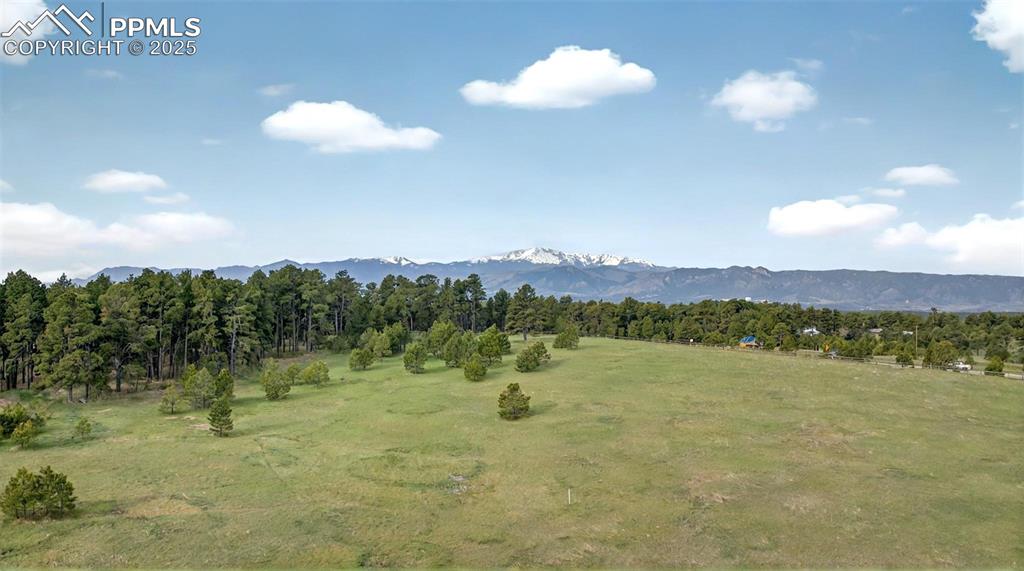 3930 Serenity Place Colorado Springs CO 80908