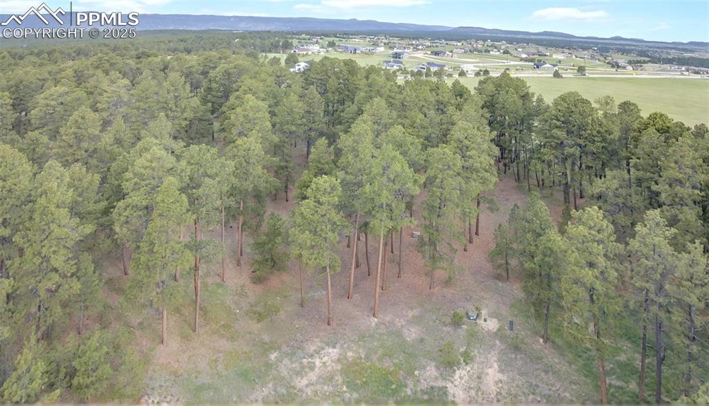 3930 Serenity Place Colorado Springs CO 80908