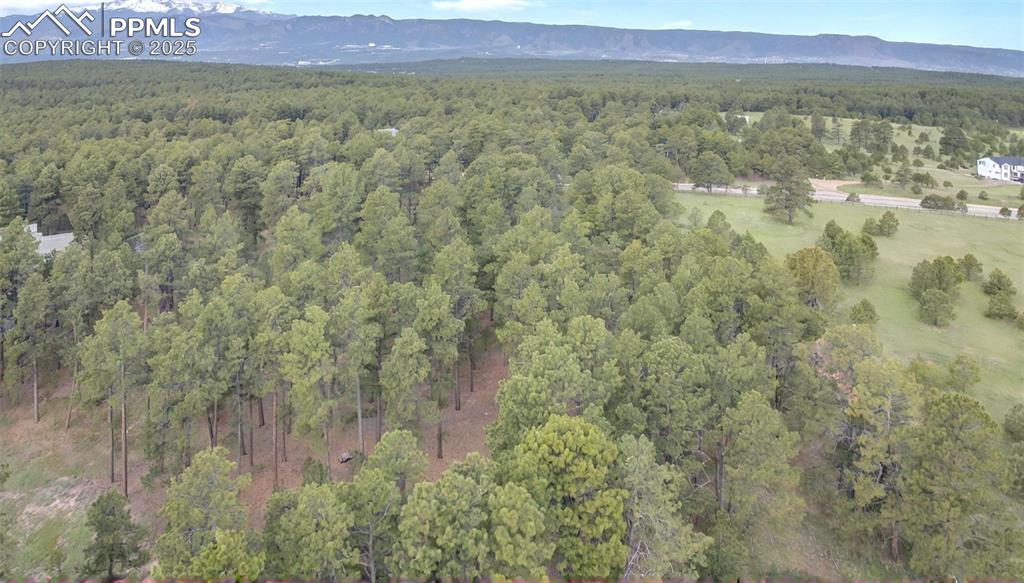 3930 Serenity Place Colorado Springs CO 80908