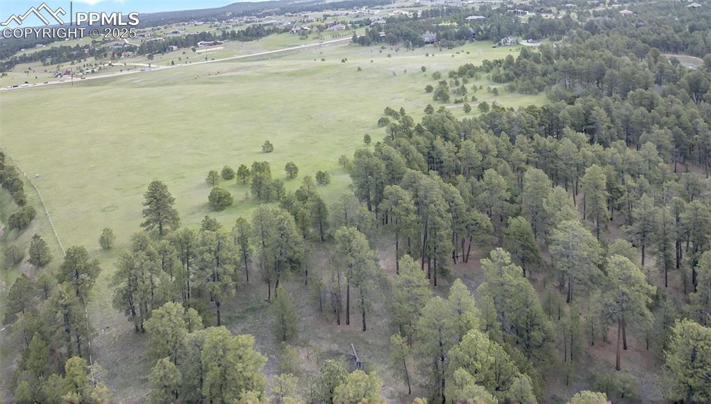 3930 Serenity Place Colorado Springs CO 80908