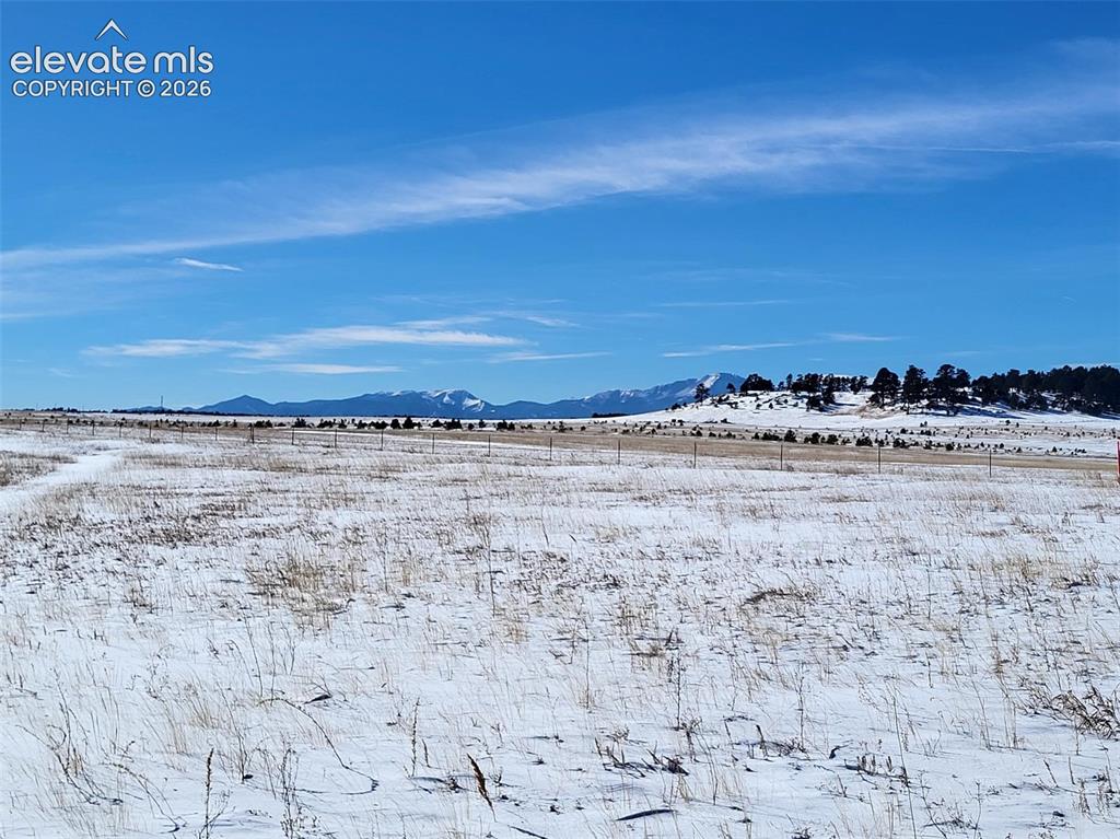 19250 Mariah Trail Colorado Springs CO 80908