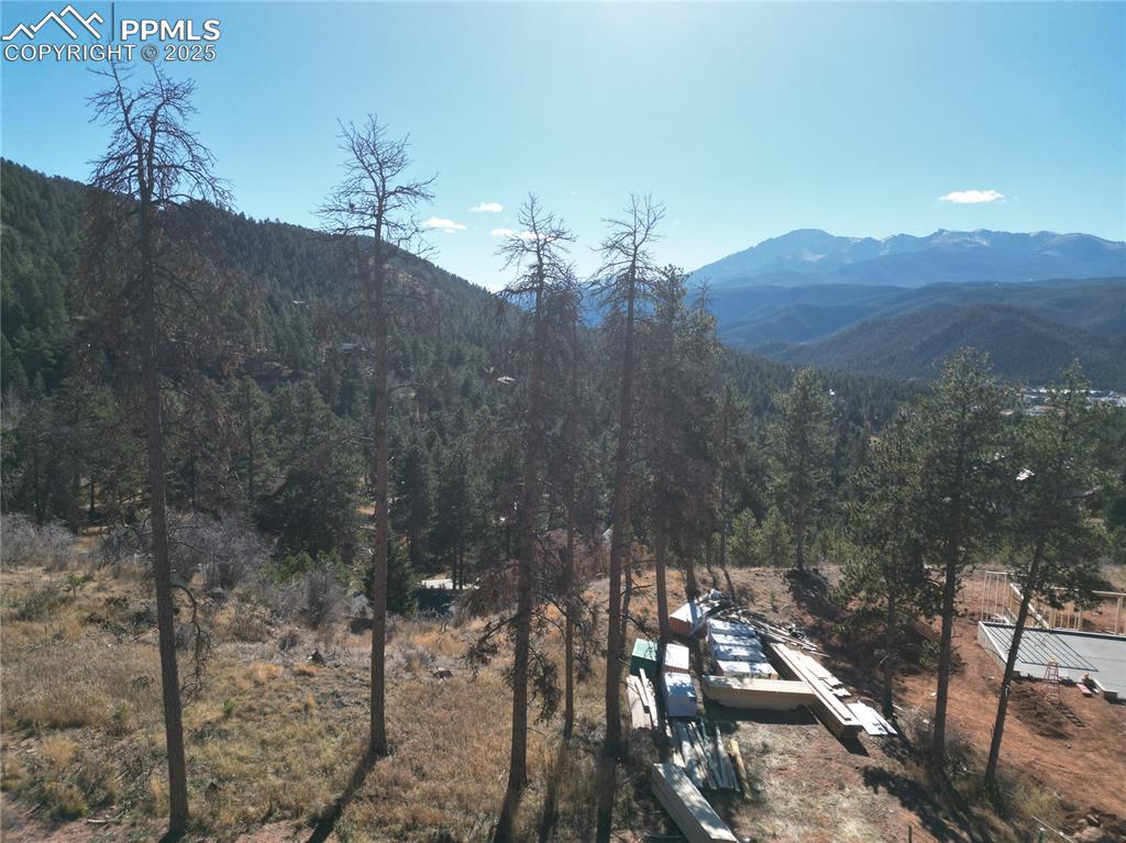 1430 Red Haven Place Woodland Park CO 80863