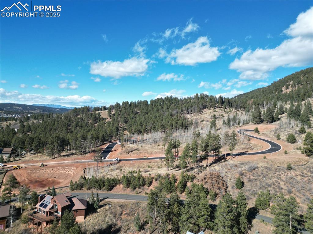 1430 Red Haven Place Woodland Park CO 80863