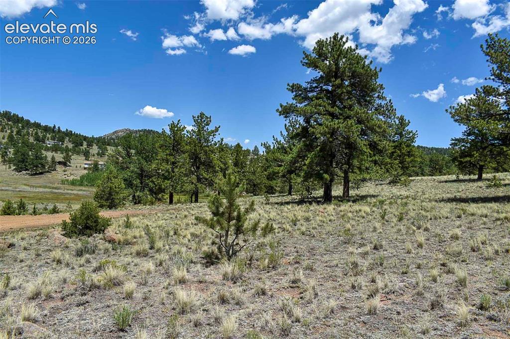4278 County Road 71 Guffey CO 80820