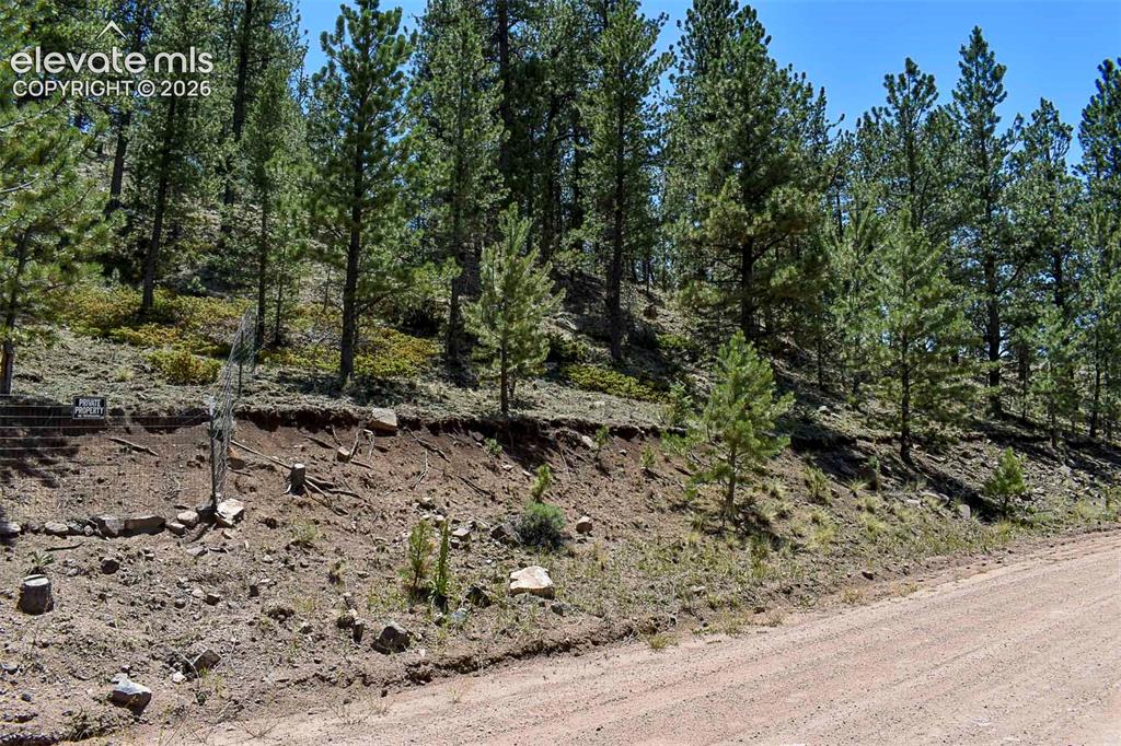4278 County Road 71 Guffey CO 80820