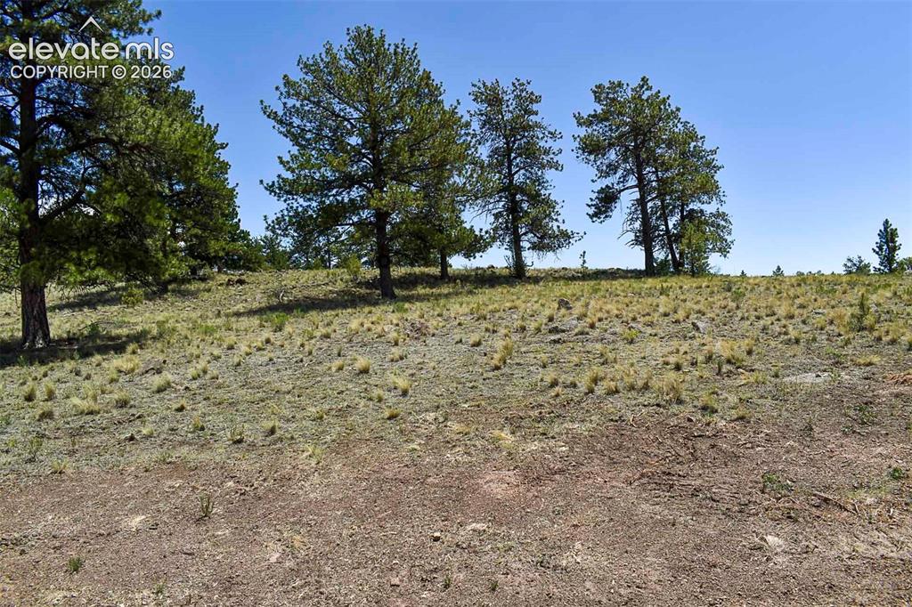 4278 County Road 71 Guffey CO 80820