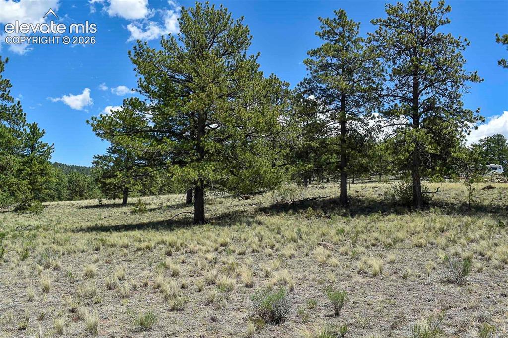 4278 County Road 71 Guffey CO 80820