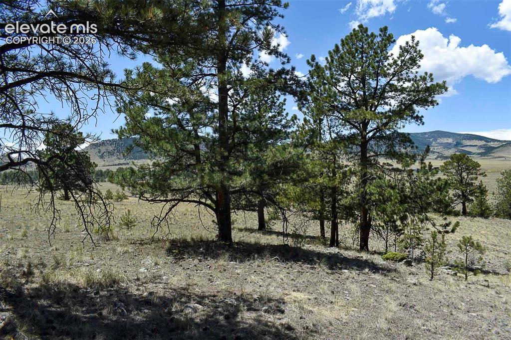 4278 County Road 71 Guffey CO 80820