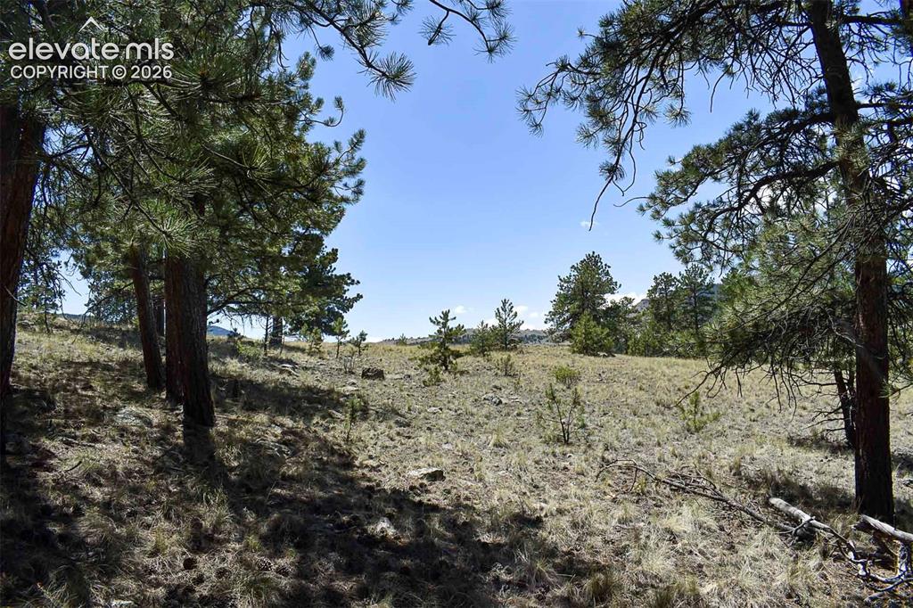 4278 County Road 71 Guffey CO 80820