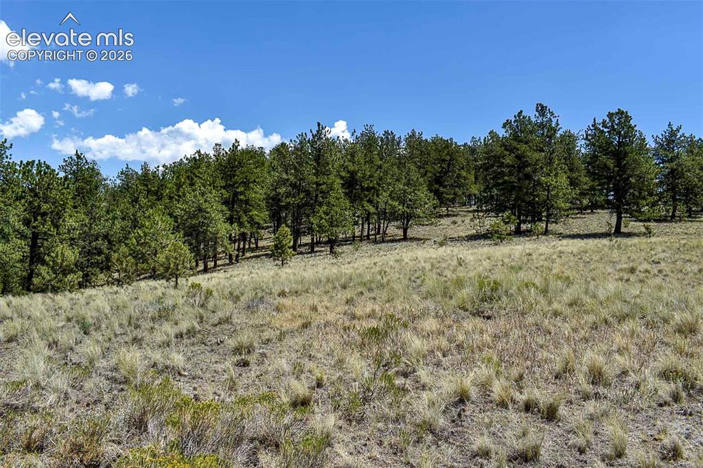 4278 County Road 71 Guffey CO 80820