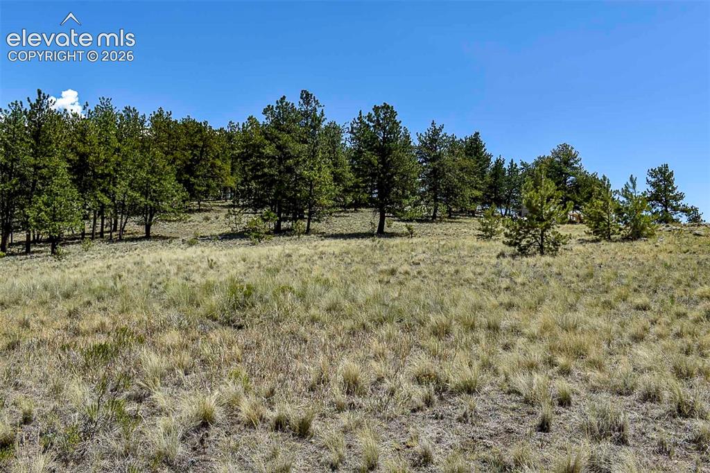 4278 County Road 71 Guffey CO 80820