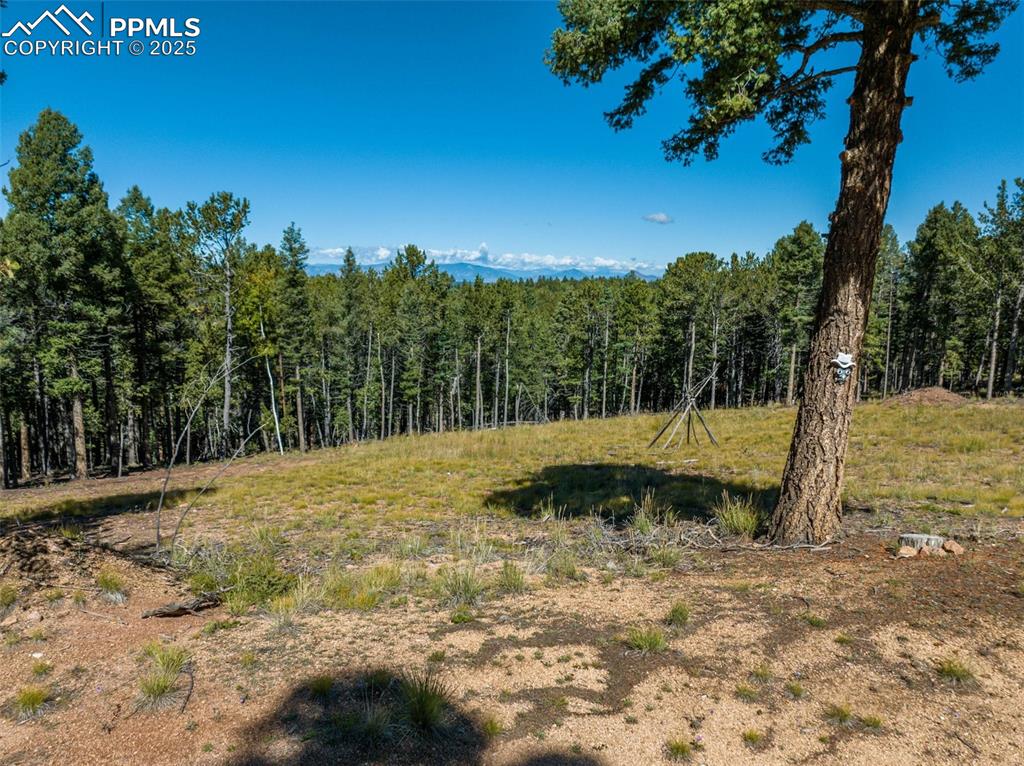 197 Parkview Drive Woodland Park CO 80863