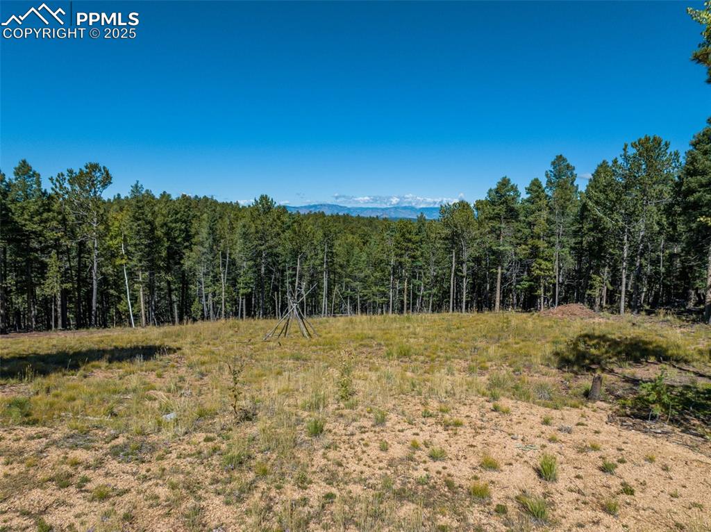 197 Parkview Drive Woodland Park CO 80863