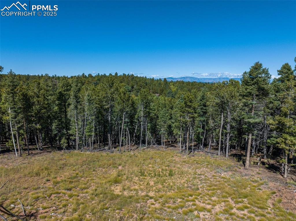 197 Parkview Drive Woodland Park CO 80863