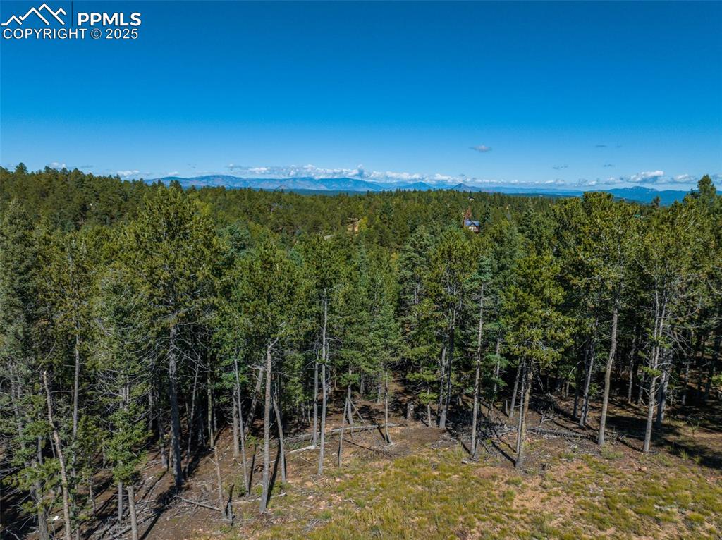 197 Parkview Drive Woodland Park CO 80863