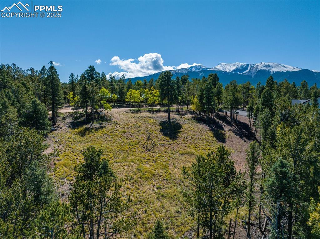 197 Parkview Drive Woodland Park CO 80863