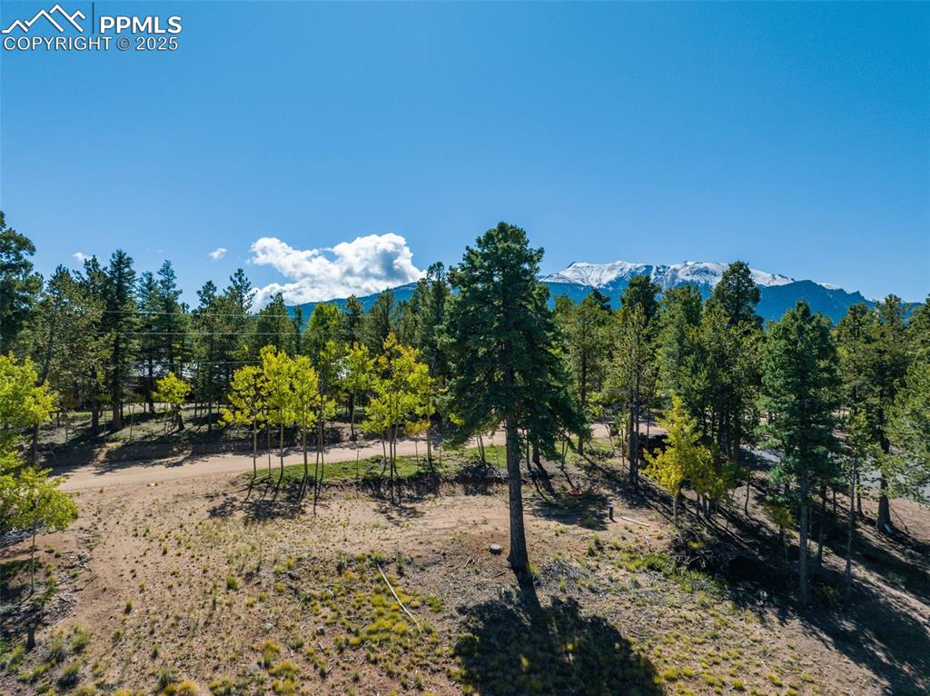 197 Parkview Drive Woodland Park CO 80863