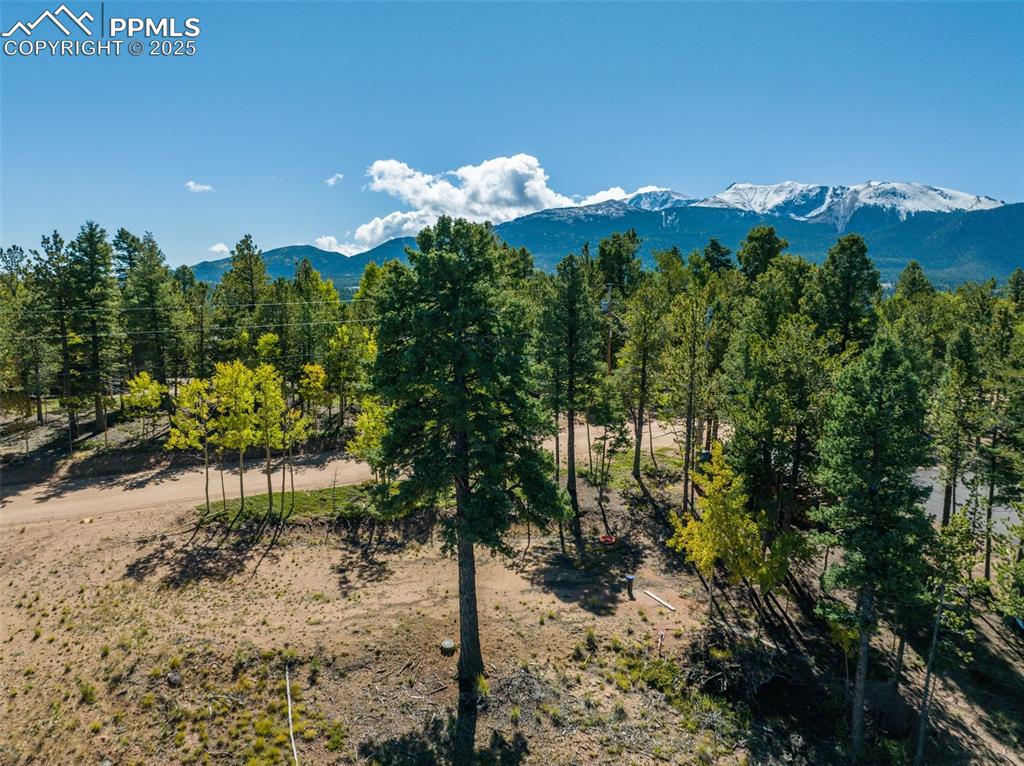 197 Parkview Drive Woodland Park CO 80863