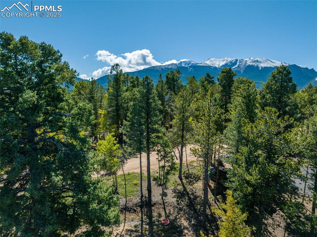 197 Parkview Drive Woodland Park CO 80863