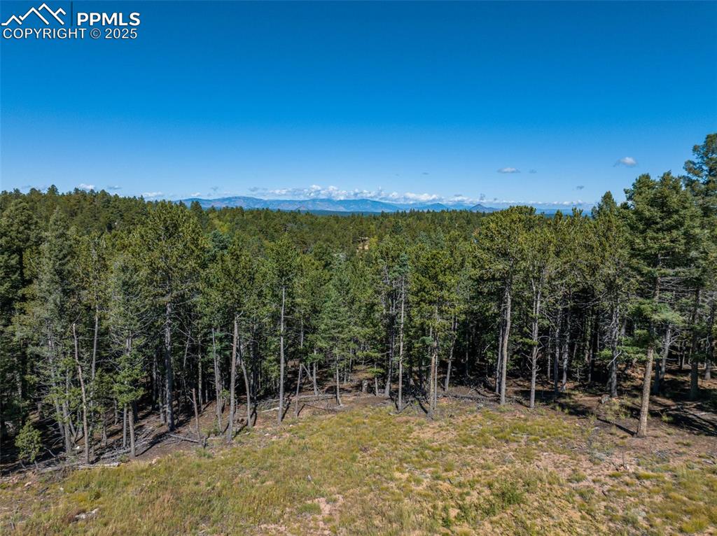 197 Parkview Drive Woodland Park CO 80863