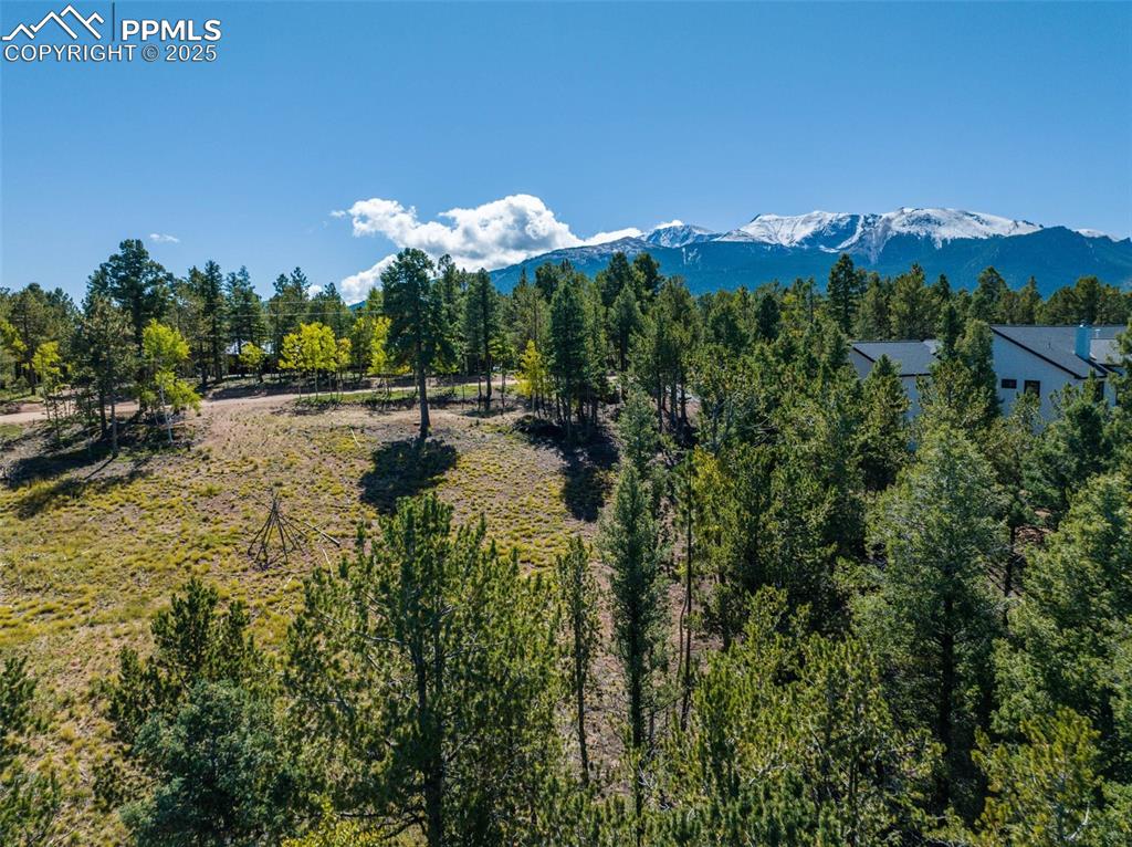 197 Parkview Drive Woodland Park CO 80863