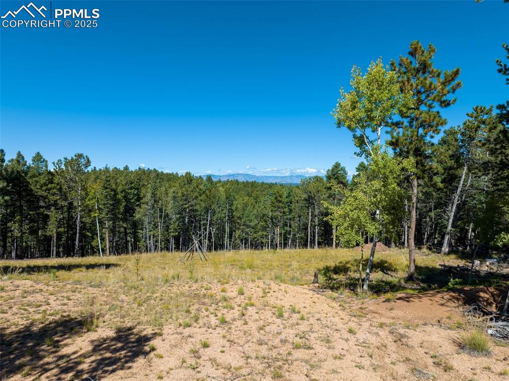 197 Parkview Drive Woodland Park CO 80863