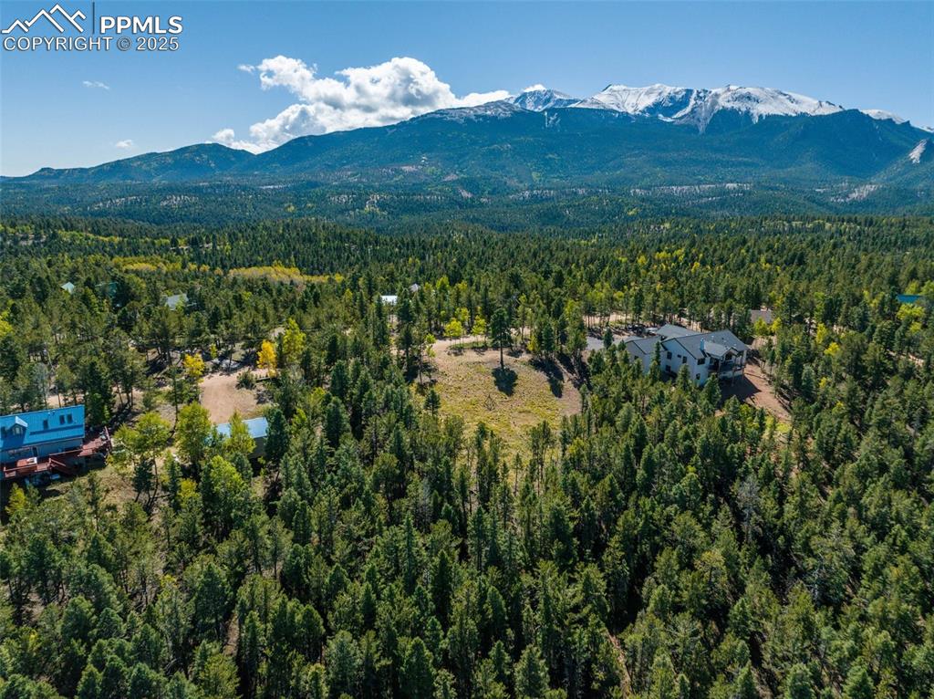 197 Parkview Drive Woodland Park CO 80863