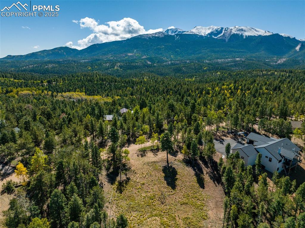 197 Parkview Drive Woodland Park CO 80863