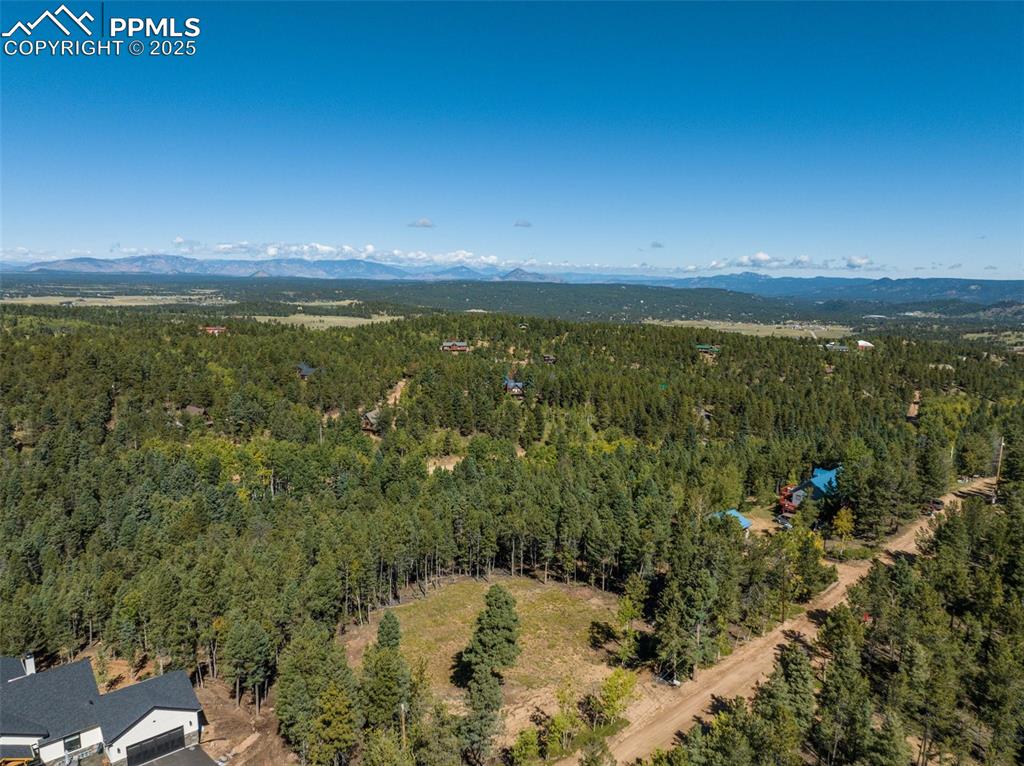 197 Parkview Drive Woodland Park CO 80863