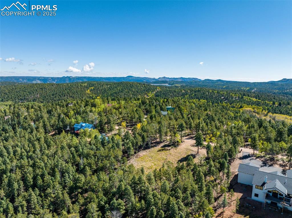 197 Parkview Drive Woodland Park CO 80863