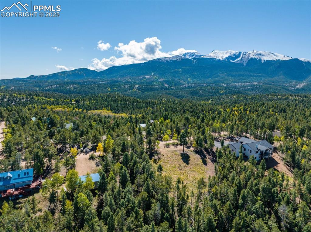 197 Parkview Drive Woodland Park CO 80863