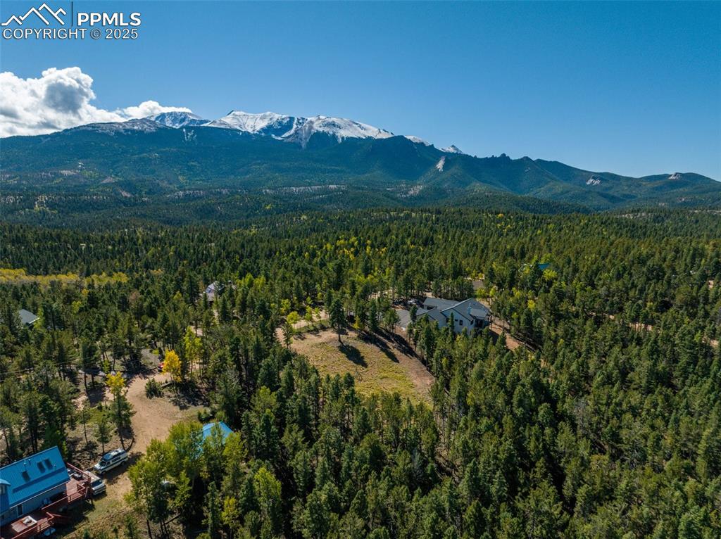 197 Parkview Drive Woodland Park CO 80863