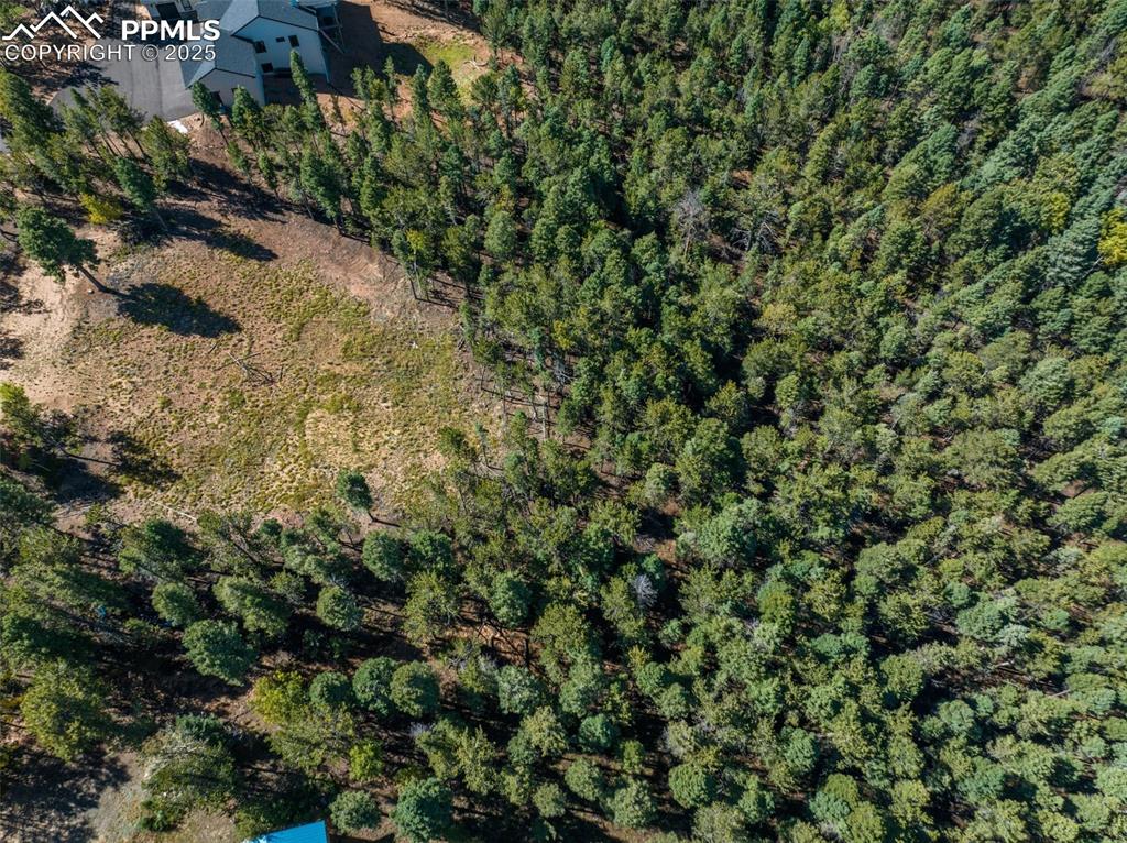 197 Parkview Drive Woodland Park CO 80863