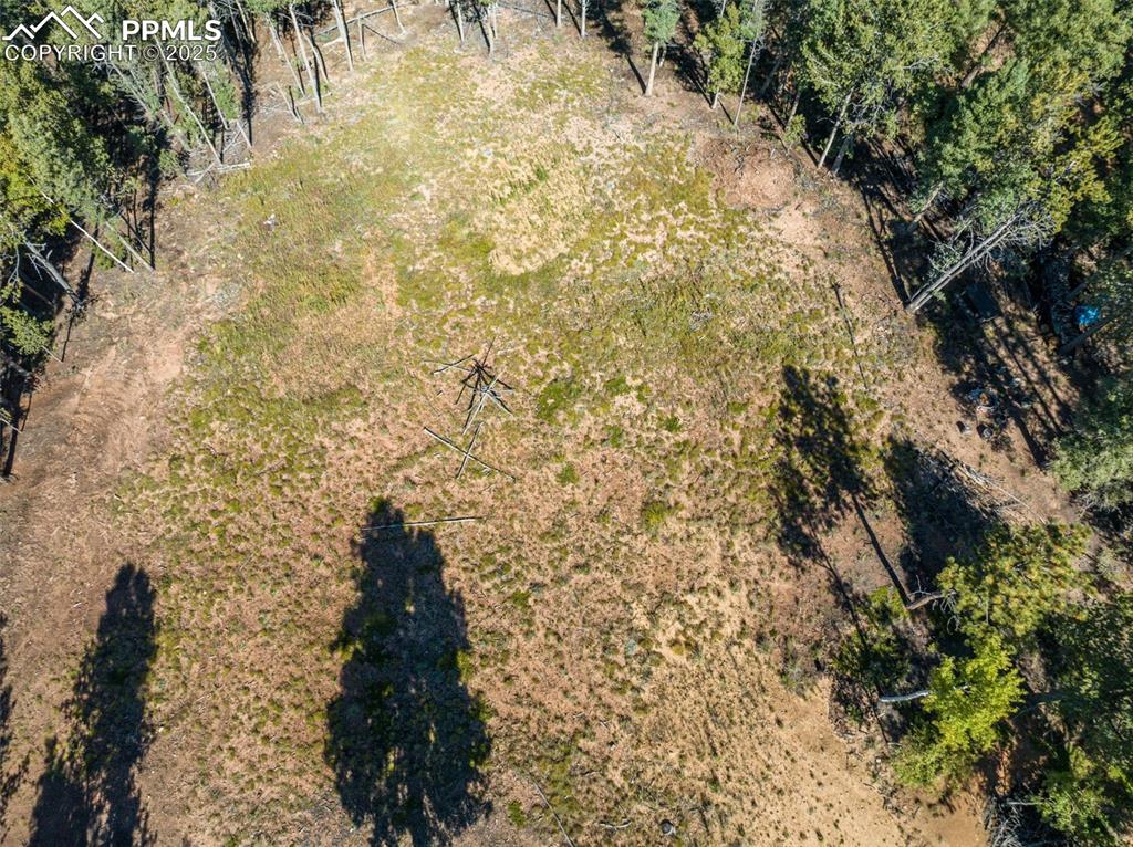 197 Parkview Drive Woodland Park CO 80863