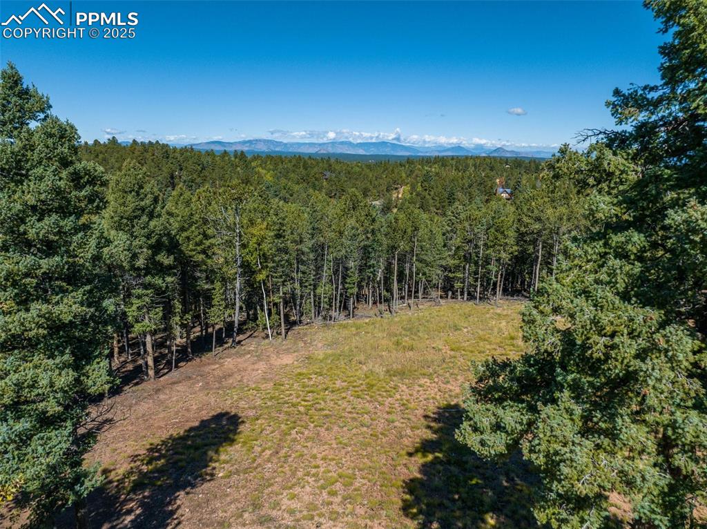 197 Parkview Drive Woodland Park CO 80863