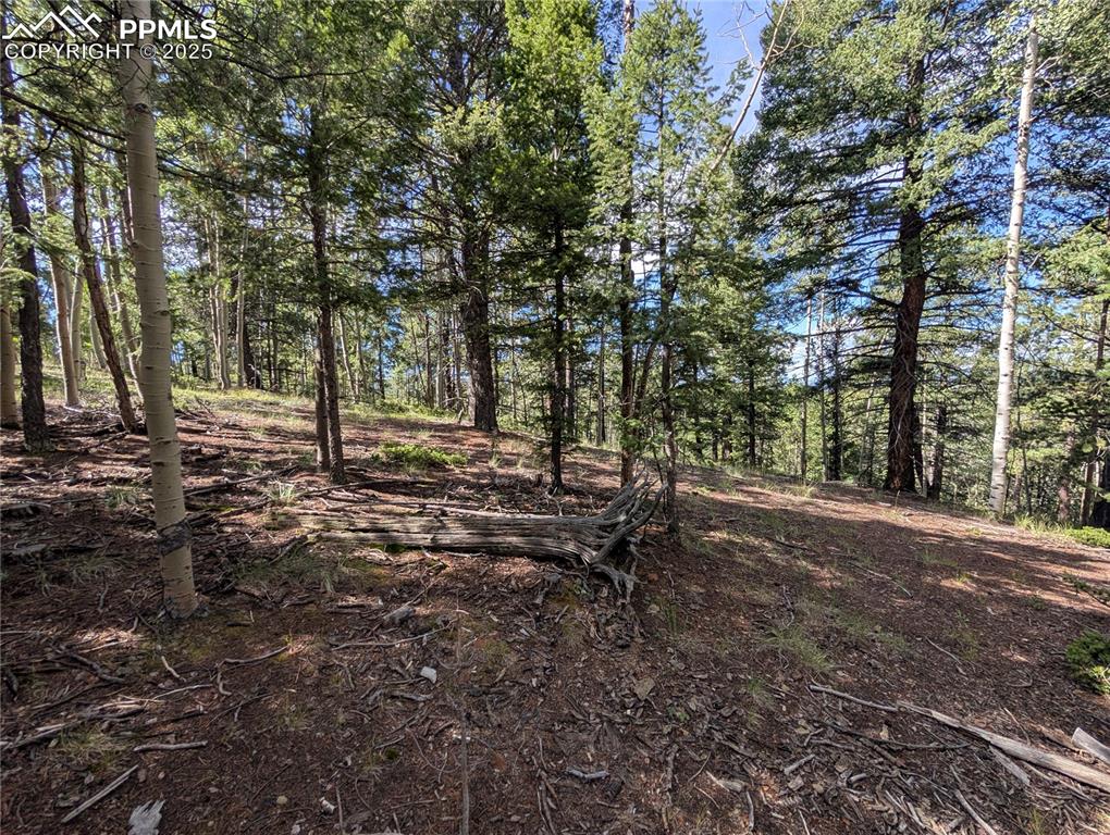 60 Fluorite Lane Divide CO 80814