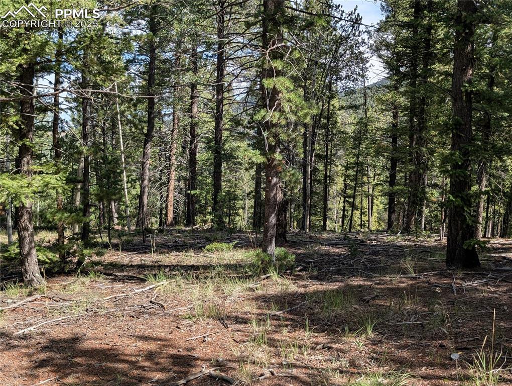 60 Fluorite Lane Divide CO 80814