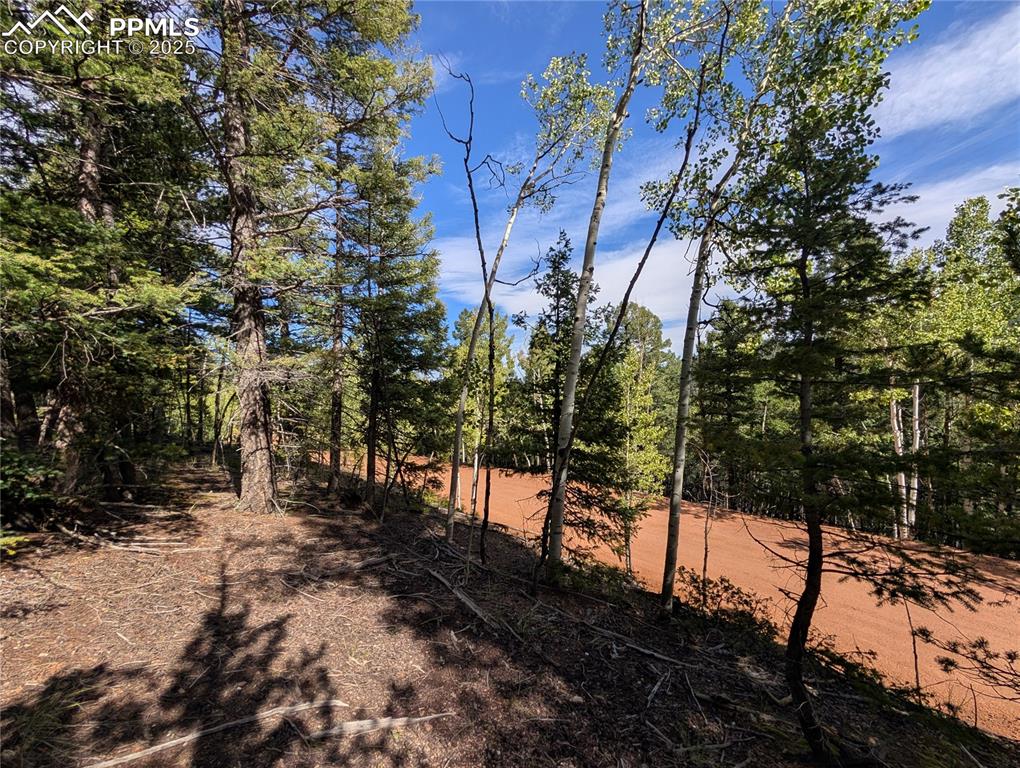 60 Fluorite Lane Divide CO 80814