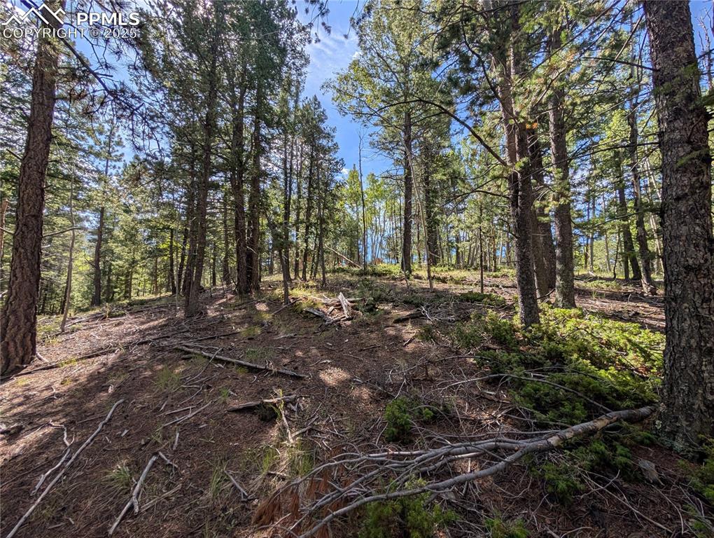 60 Fluorite Lane Divide CO 80814