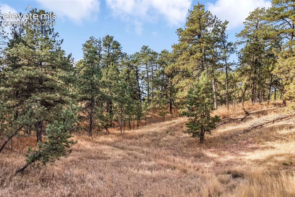 18230 Cumbres Court Peyton CO 80831