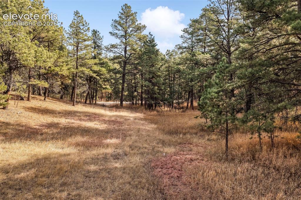 18230 Cumbres Court Peyton CO 80831